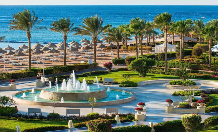 Cairo: Day Tour to the Red Sea with Lunch - Six hours beside the Red Sea