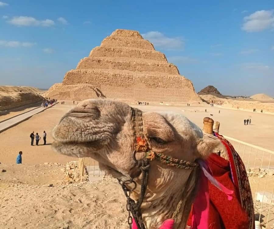 Cairo: Djoser, Bent Pyramid & Memphis Day Trip - Memphis and the statue of Ramses II