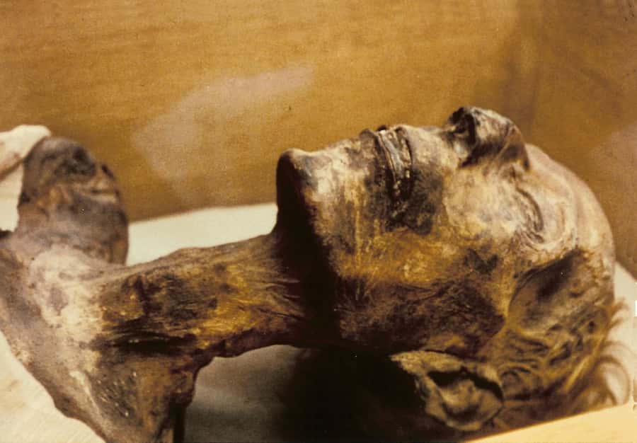 Cairo: Egyptian Museum 4-Hour Private Tour with Transfer - A route shaped around your interests