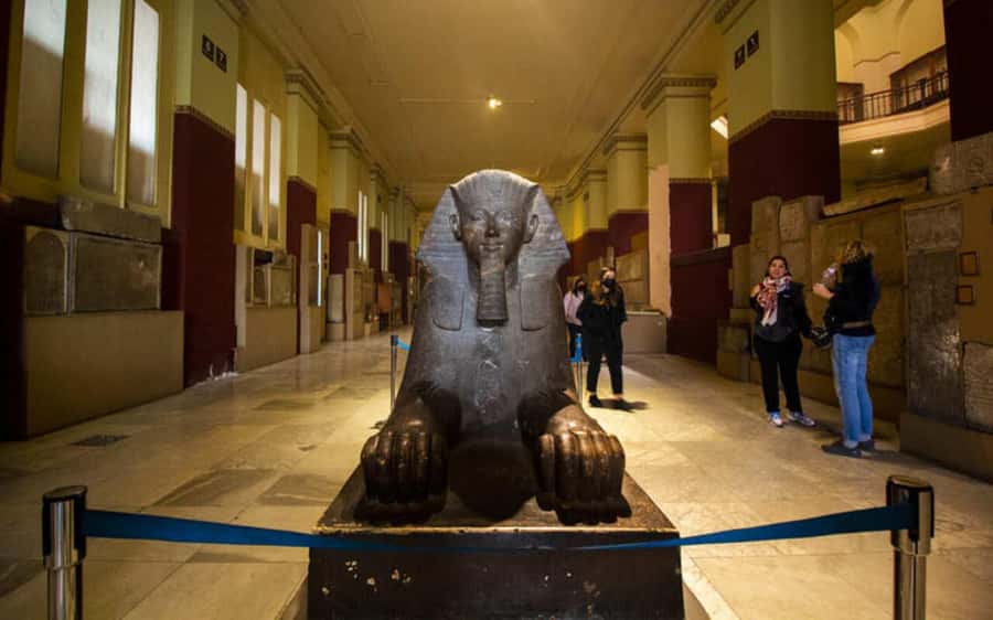 Cairo: Egyptian Museum Private Half Day Guided Tour - Is $40 per person good value?