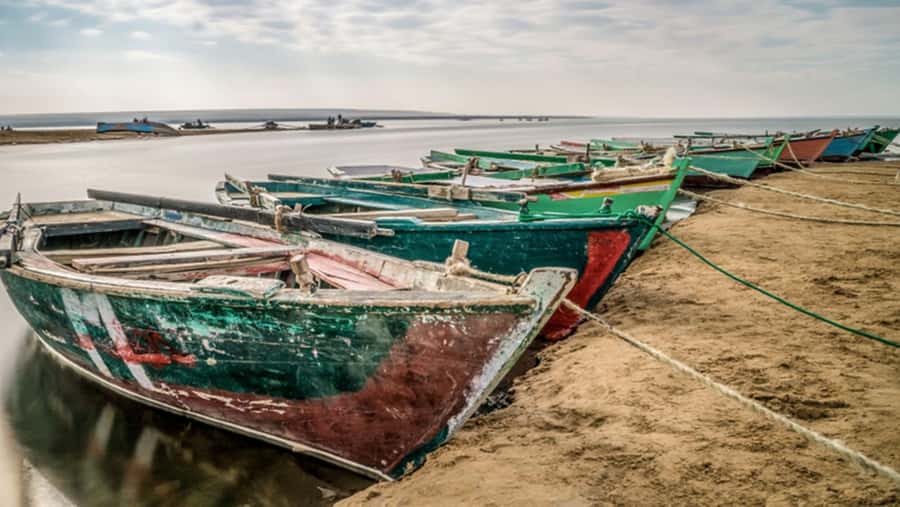 Cairo: Fayoum, Wadi El Rayan, and Wadi al Hitan 4x4 Tour - Key points at a glance