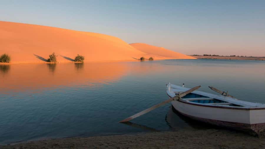 Cairo: Fayoum, Wadi El Rayan, and Wadi al Hitan 4x4 Tour - Optional stops for a fuller Fayoum day