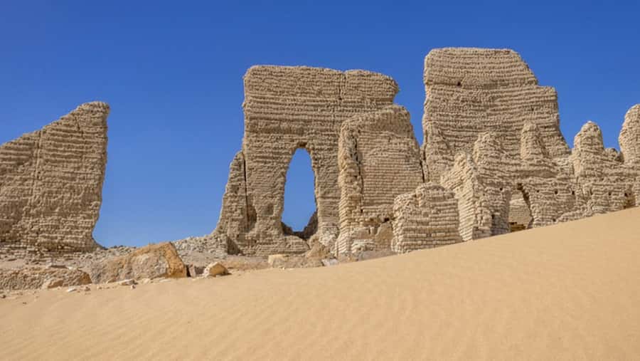 Cairo: Fayoum, Wadi El Rayan, and Wadi al Hitan 4x4 Tour - Wadi al Hitan, the Valley of the Whales