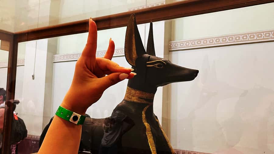 Cairo: Giza Pyramids, Egyptian Museum & Nile Dinner Cruise. - Lunch, shopping, and the practical rhythm of the day