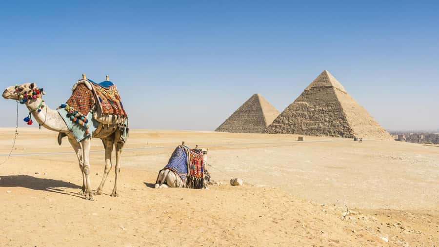 Cairo: Giza Pyramids, Memphis, Saqqara Private Tour & Lunch - Starting at Saqqara and Djoser’s Step Pyramid