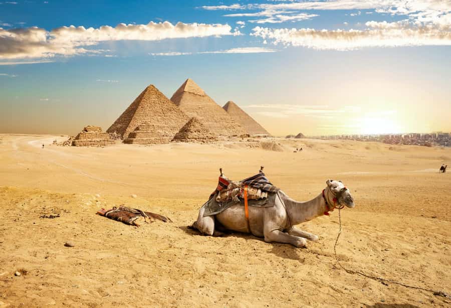 Cairo: Giza Pyramids, Memphis, Saqqara Private Tour & Lunch - A private car, driver, and flexible pace