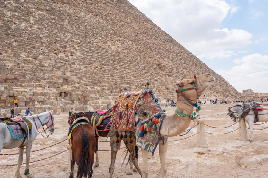 Cairo: Giza Pyramids, Museum & Tahrir Square Private Tour. - Taking a local lunch break