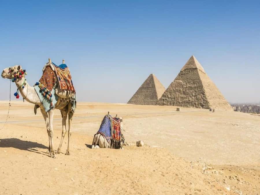 Cairo: Giza Pyramids, Sakkara & Dahshur All-Inclusive Tour - Lunch and the value of a private car