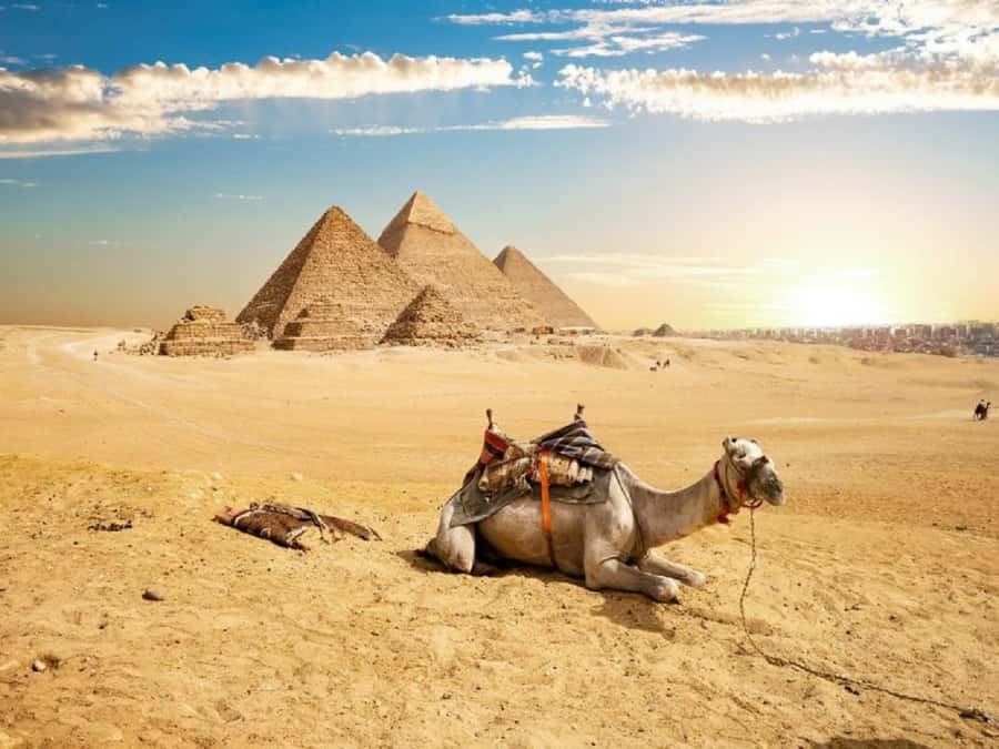 Cairo: Giza Pyramids, Sakkara & Dahshur All-Inclusive Tour - Heat, walking, and entering the pyramids