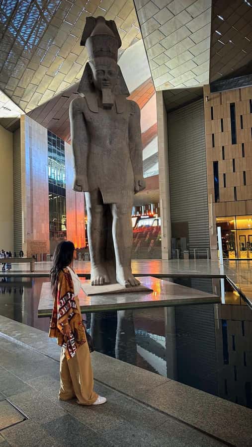 Cairo: Grand Egyptian Museum, Giza Pyramids and Sphinx Tour - Key points to know before booking