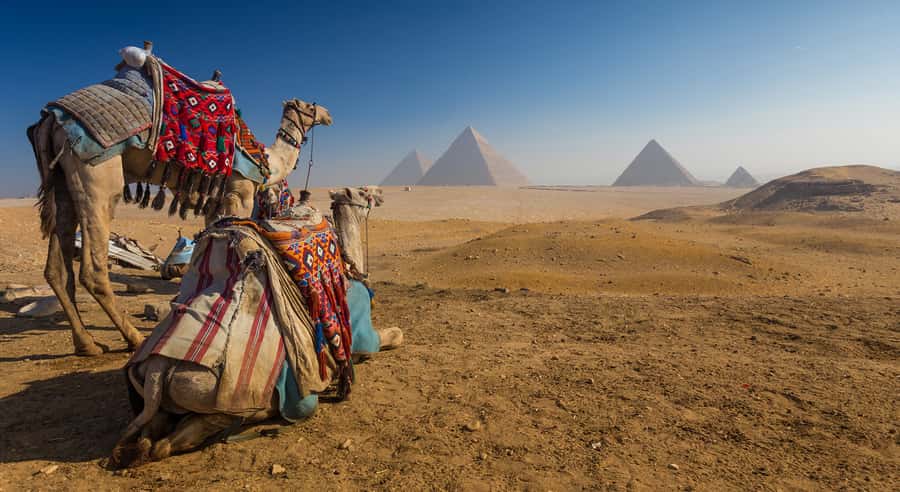 Cairo: Great Pyramids of Giza and Egyptian Museum Tour - Key points to know before booking