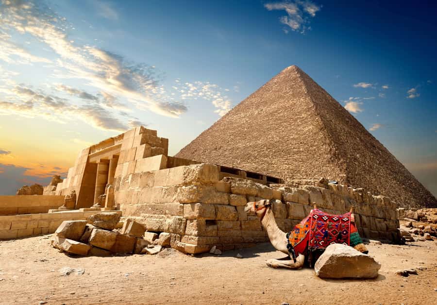 Cairo: Great Pyramids of Giza and Egyptian Museum Tour - Who should book this experience?