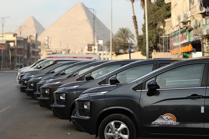 Cairo Half-Day Tour to The Museum of Egyptian Antiquities - How to handle a crowded, object-packed building