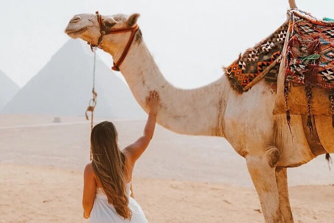 Cairo Layover Giza Pyramids & Sphinx with private tour Guide - Meeting Your Guide Outside Arrivals