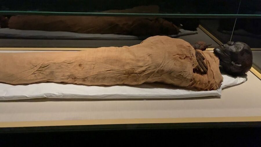 Cairo: National Museum of Egypt Skip-the-Line QR Ticket - The Royal Mummies Hall is the headline attraction