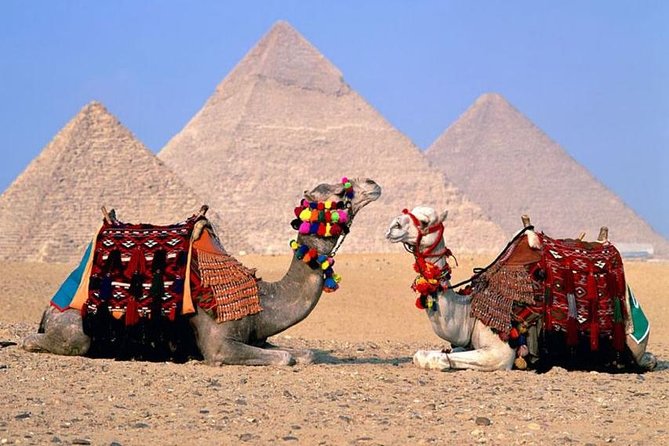 Cairo Over day Pyramids & Egyptian Museum and Lunch - Hurghada - Lunch and the shopping stops