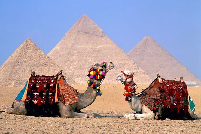 Cairo Over day Pyramids Sphinx and Museum With Lunch - Hurghada - The Egyptian Museum in about 90 minutes