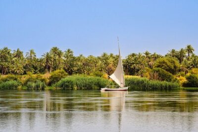 Cairo Private Felucca OnThe Nile River With Pickup and Soft Drink