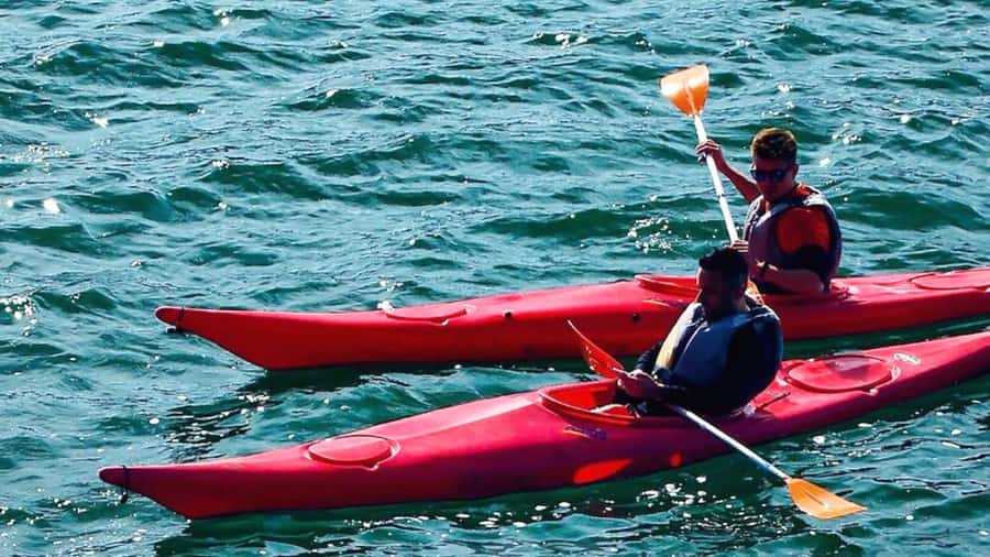 Cairo: Private Nile Kayaking Adventure with hotel transfers. - Is $52 a fair price?