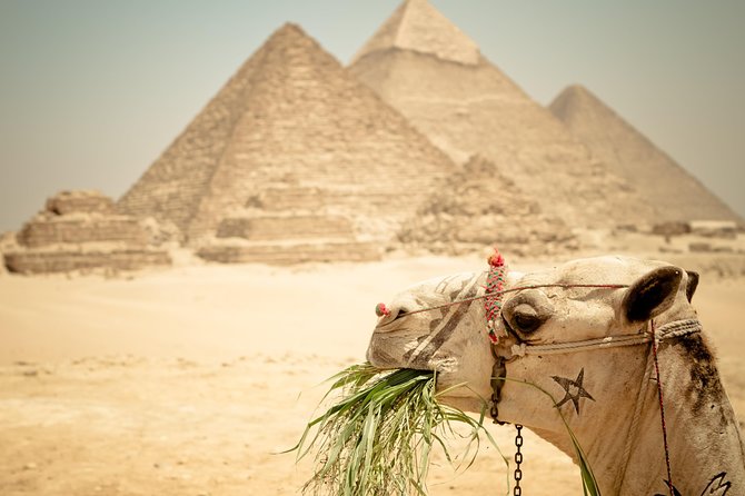 Cairo Private Tours To Giza Pyramids,Egyptian Museum & Bazaar - What the private format adds