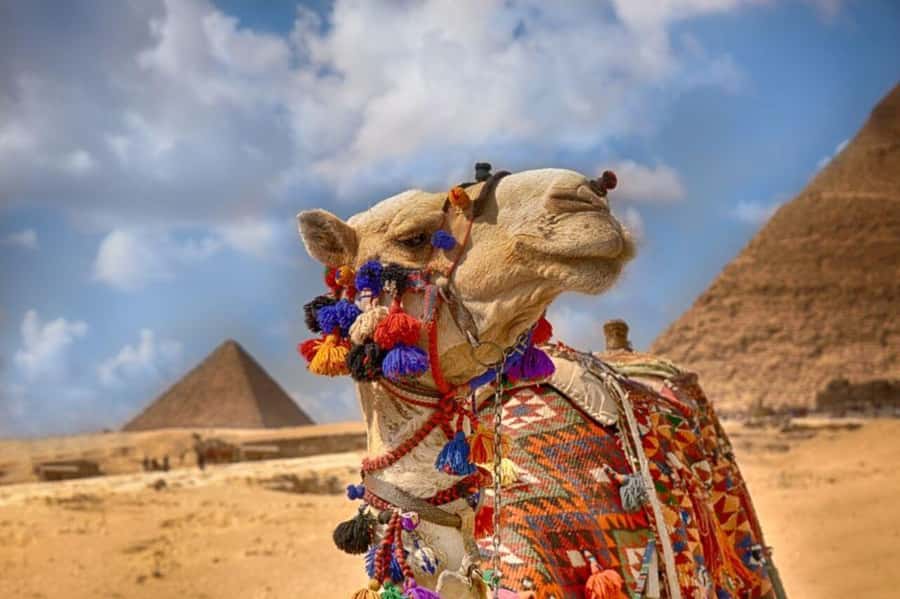 Cairo: Pyramids & Great Sphinx Private Tour with Camel Ride - Key points at a glance
