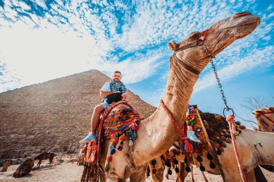 Cairo: Pyramids & Great Sphinx Private Tour with Camel Ride - The Great Sphinx and its unusual scale
