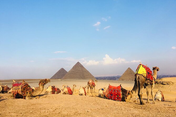 Cairo Sightseeing Tour (Giza Pyramids + Museum + Khan el Khalili Bazaar) - Private transport and the value of a personal guide