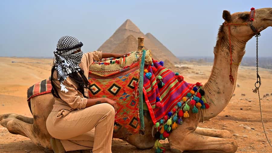 Cairo: Sunrise Camel Ride, Pyramids Tour & Local Breakfast. - A One-Hour Camel Ride Across the Plateau