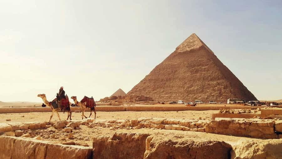 Cairo: Sunrise Camel Ride, Pyramids Tour & Local Breakfast. - Is $101 a Fair Price?
