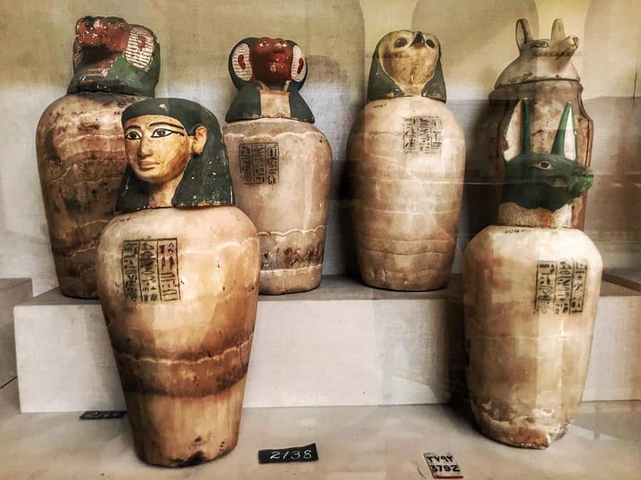 Cairo Tour To Egyptian Museum, Citadel & Khan Khalili Bazaar - Should you book this Cairo day tour?
