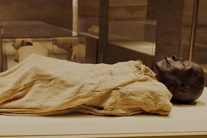 Cairo Tour To The National Museum of Egyptian Civilization, Citadel & Bazaar - Inside the National Museum of Egyptian Civilization