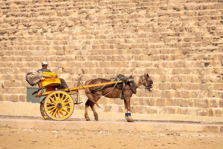 Cairo: Trip Pyramids, Sakkara, & Memphis Tour with Lunch - Memphis and its huge stone figures