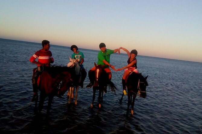 Camel ride & Bedouin dinner quad safari in Sharm el Sheikh - A five-hour desert evening from Sharm el Sheikh