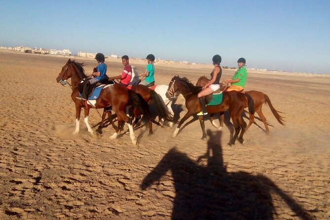 Camel ride & Bedouin dinner quad safari in Sharm el Sheikh - Sunset over the mountains