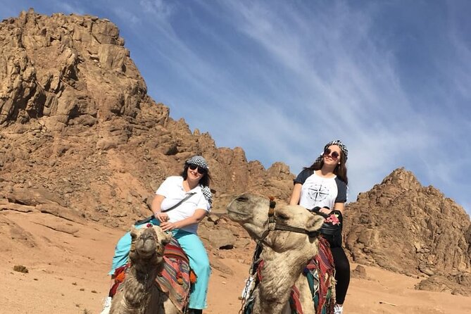 Camel ride & Bedouin dinner quad safari in Sharm el Sheikh - Dinner, drinks, and the evening show