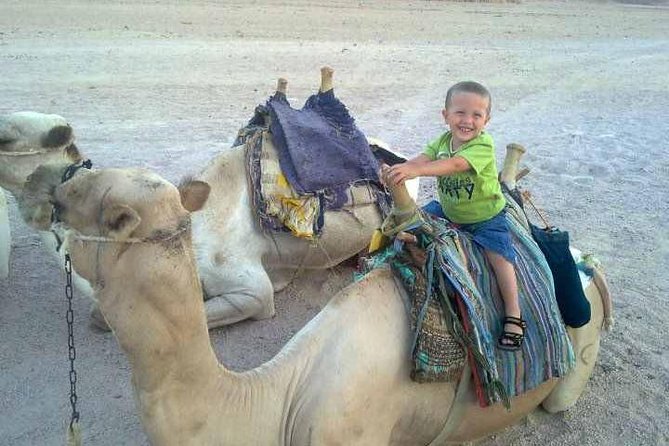 Camel ride & Bedouin dinner quad safari in Sharm el Sheikh - Quad riding across the Sharm desert
