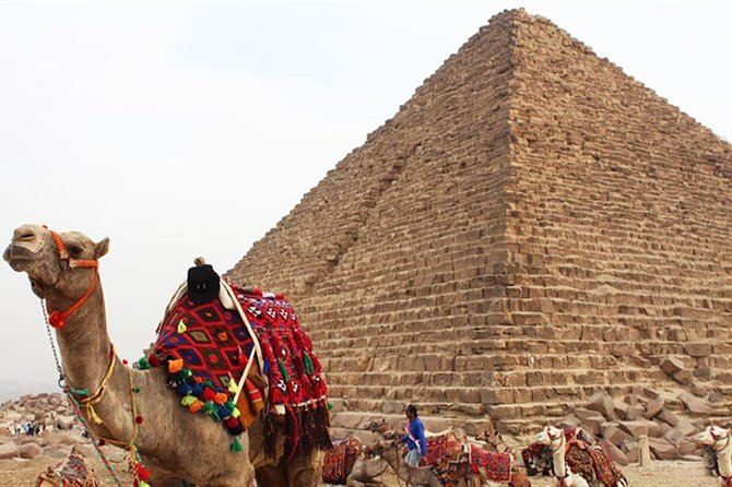 Day Tour To Cairo From Alexandria - Two hours inside the Egyptian Museum