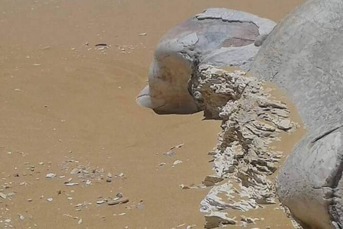 Day Trip To Bahariya Oasis Visit Black And White Desert From Cairo - Is $180 good value for a private desert day?