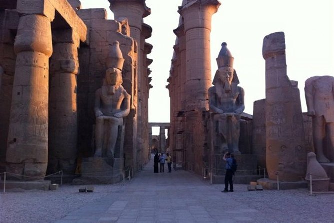 Day Trip To Luxor From Cairo By Plane Including Lunch - The private guide and vehicle
