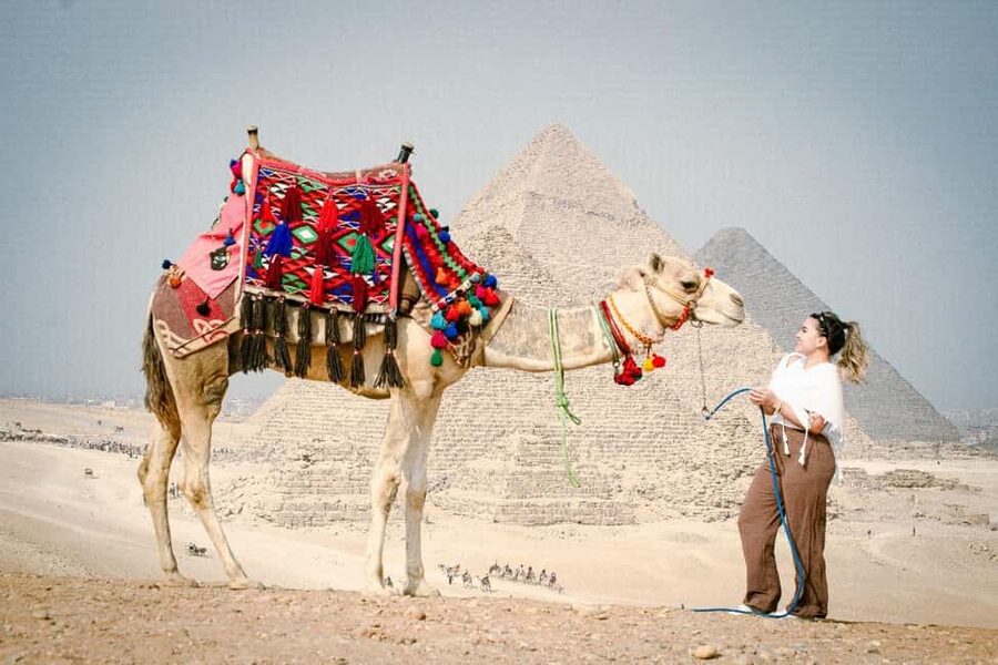 Discover Cairo: Pyramids, Museum & Sphinx Tour from Hurghada - What the $82 price really includes