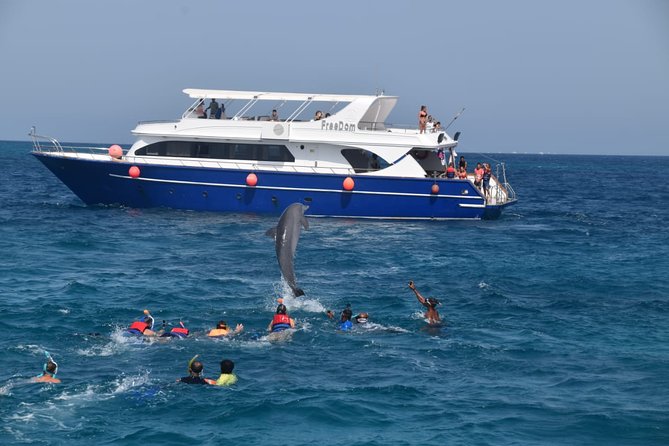 Dolphin House and Banana Boat Fun from Hurghada - Key points to know before booking
