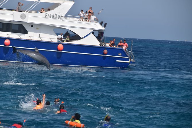 Dolphin House and Banana Boat Fun from Hurghada - Setting out from Hurghada to Dolphin House