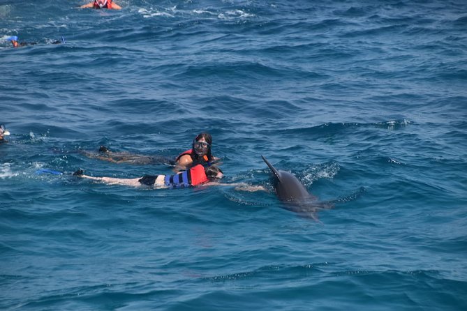 Dolphin House and Banana Boat Fun from Hurghada - Snorkeling three Red Sea sites