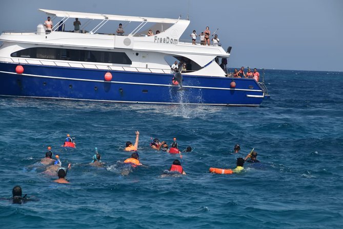 Dolphin House and Banana Boat Fun from Hurghada - The search for wild dolphins