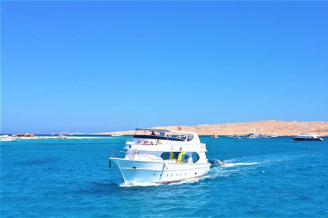 Dolphin House By Private Speed Boat & Drinks & Transfer-Hurghada - Is $50 good value?