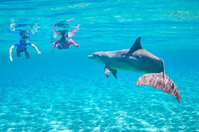Dolphin House By Private Speed Boat & Drinks & Transfer-Hurghada - Who should choose this excursion?