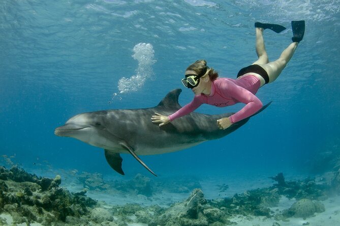 Dolphin House By Private Speed Boat & Drinks & Transfer-Hurghada - Snorkeling around Red Sea coral