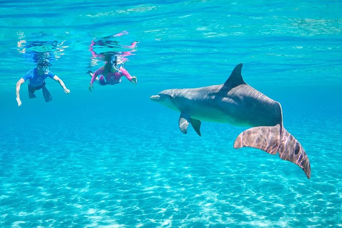 Dolphin House Royal Sea Trip Water Sports W/Transfer - HURGHADA - Who will get the most from this trip