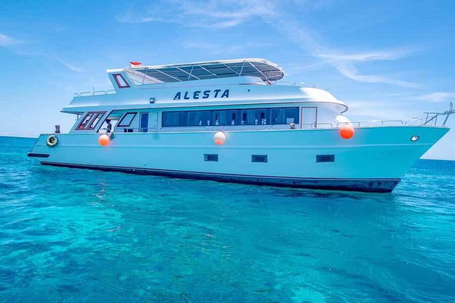 Dolphin Tour with Red Sea Fun. The Best in Hurghada - Two coral reef stops for snorkeling and swimming
