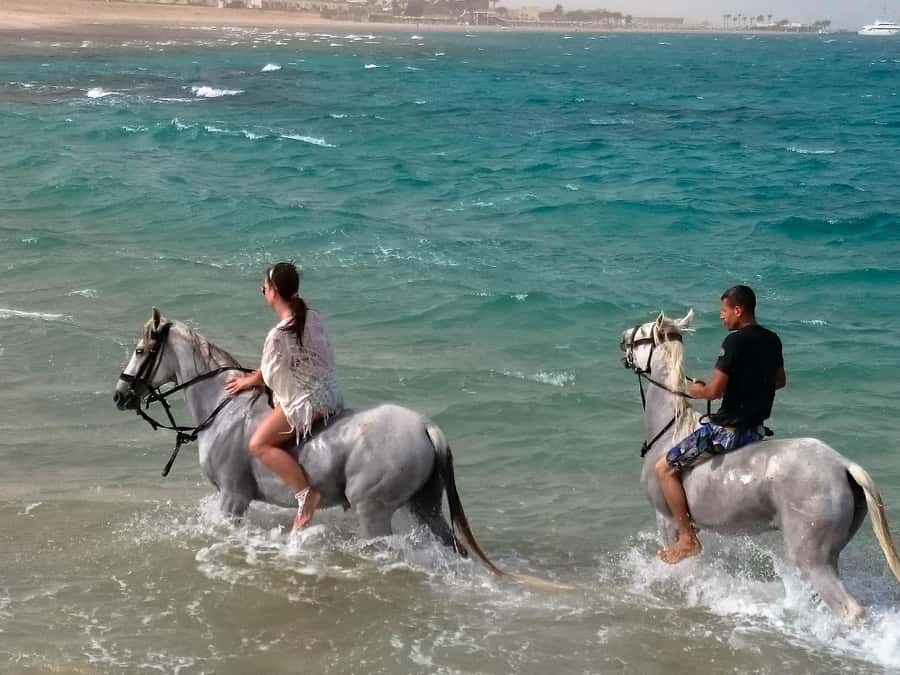 El Gouna: Desert & Sea Horse Riding With Swimming Optional - What to wear and what to leave behind